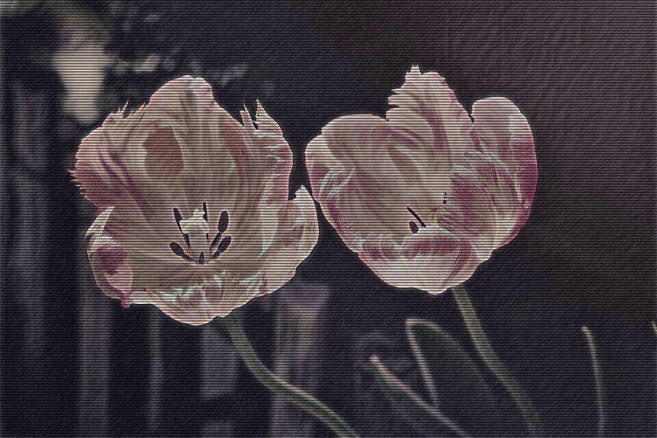 I loved how the Sun embraced your face. How soft the R rolled off your tongue. How the Earth skipped a heartbeat when you frolicked across its surface. I loved the bemused smile on your face whenever I asked a stupid question. I even loved our quarrels. And no matter how passionately I defended any stance I took, in my head, you already had won. I loved how you loved, because -- for as long as it lasted -- it was real and pure.