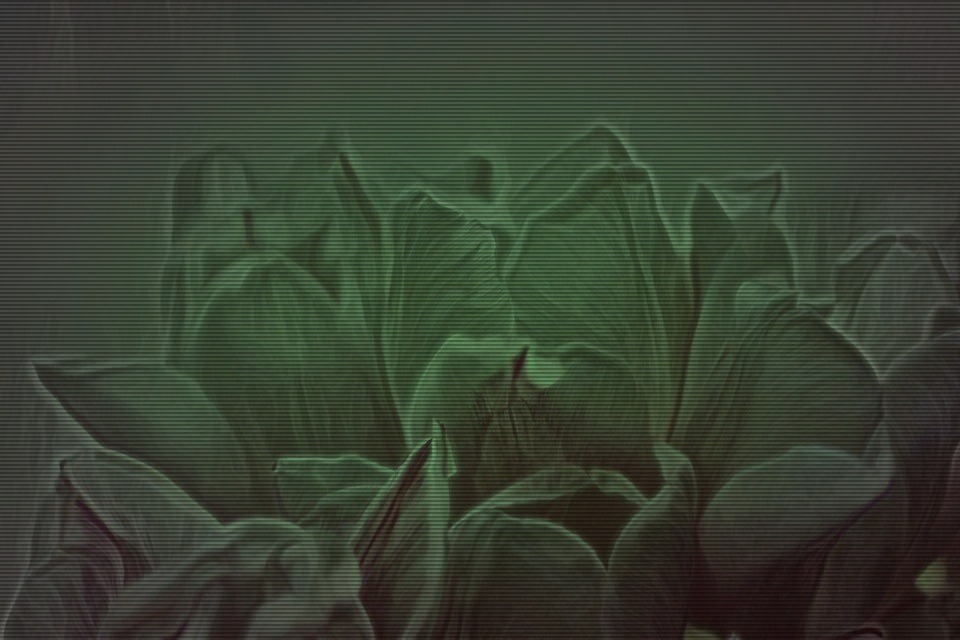 They told us how to desire. They told us how to dream. But they never showed us how to protect what was important to us. We were naive dreamers, realizing only when it was too late that beautiful things are fragile and helpless. Not much more than a deceptively gentle breeze is enough to take them away from you…forever.