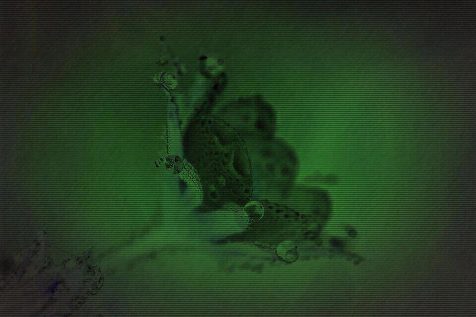 To heal I needed to hate her for all the pain she had left me with. But I couldn't. I couldn't, because, although her (and mine) love was flawed in many ways, it was sincerely held. How could I hate someone that once loved me so deeply? How could I make her into something that she wasn't? So, I knew there was no easy way out. This poisonous cup was for me alone to drink; undiluted, down to the last drop.