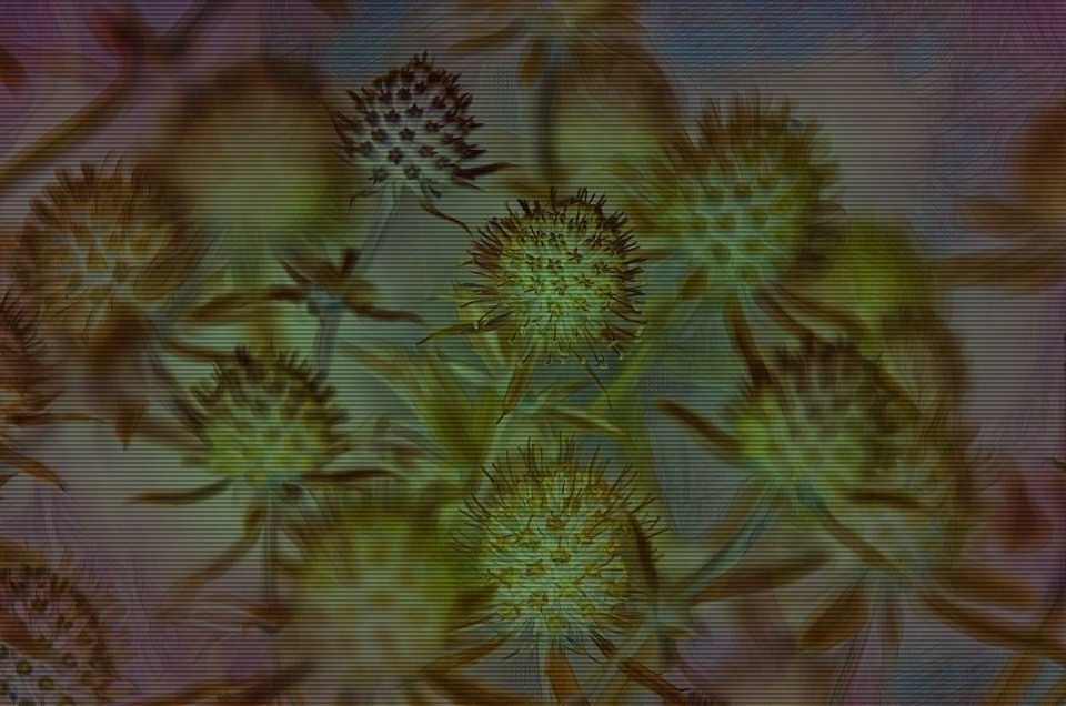 Those who have loved sincerely

If we had met later in life, would I have enticed you just as much with my love as I did back then? Would it have been easier for you not to drown in the mirage I painted for the two of us? Would you have let me go with the same infuriating gentleness as the younger you had done? These questions should not be asked, for they have no function than to torment a bagger's heart. Still, those who have loved -- who have loved sincerely -- can not but throw these questions up into the night sky, praying, hoping they one day will be swallowed by the darkness of the universe, and we can finally be free.