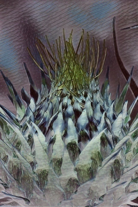 The lures of this world

I left the door half open so she would know she was free. In hindsight, it was arrogant believing our relationship would be stronger than any worldly temptation. Back then, the notion she could be seduced by someone else's golden cage would have seemed ludicrous to me. But she was. The lures of this world beckoned her. Eventually, she was not able to resist its sirens. One day -- completely unexpected -- she flew away towards a better life, never looking back.