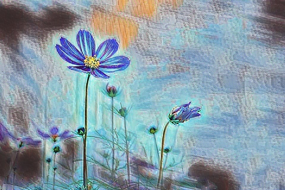 Wallflowers in love

Every party has at least one wallflower
wobble, crack, snap

Sometimes they come in twos
At opposite ends of a room, both staring at their shoes
wobble, crack, snap

One wallflower may be sitting on a wobbly chair
Looking up from her drink, she does not dare
wobble, crack, snap

The other wallflower perhaps leaning against a wall
As if afraid without his support, it may crumble and fall
wobble, crack, snap

And, of course, there should be a moment during the evening
Were our two wallflowers meet
wobble, crack, snap

Most likely with not much flair, charm, or elegance
wobble, crack, snap

A ramshackle chair that breaks
Through the air goes flying spectacles and nibbled on shortcakes
wobble, crack, snap

One wallflower helping the other back on both feet
A stolen look, a smile, their hearts skipping a beat
wobble, crack, snap