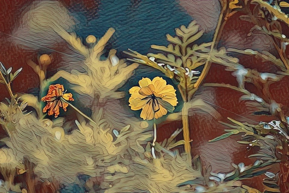 Gentle

I loved how 
you remained 
your gentle self, 
even as you were
 leaving.