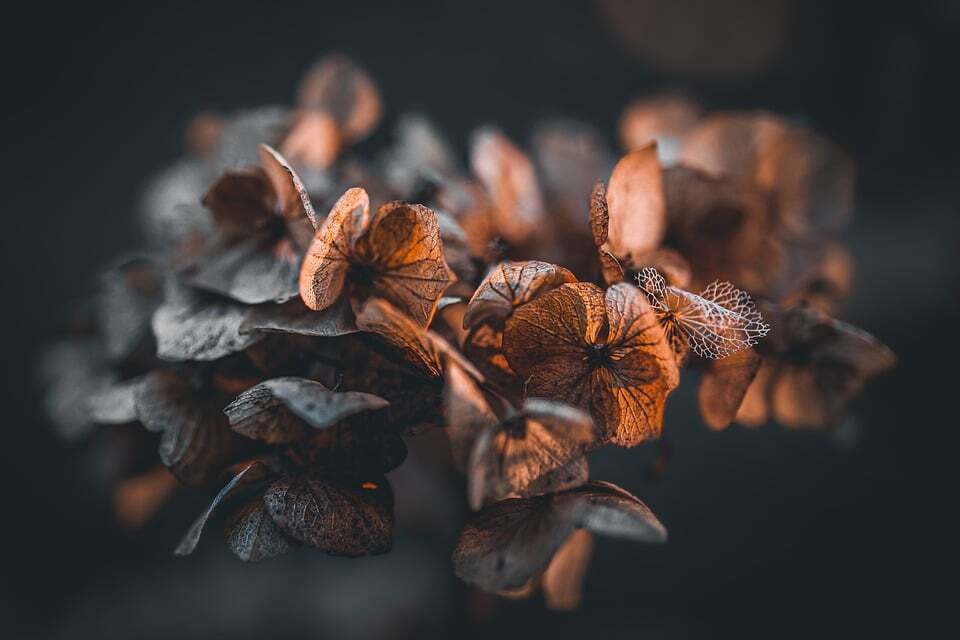 No instinct for self-love

Being bad at relationships is like slowly adjusting the focal points of your life, and only years after your breakup, parts of your past fall into focus. Making you see all the signs you missed the first time around. Making you feel embarrassed for how naive you had been. But you were raised that way. And so, when she stood there holding a knife inches from your heart, you had no instinct to recoil, to protect yourself. You stepped with a big smile into that blade, like the love of your life didn't just betray you, but you had met her for the first time.