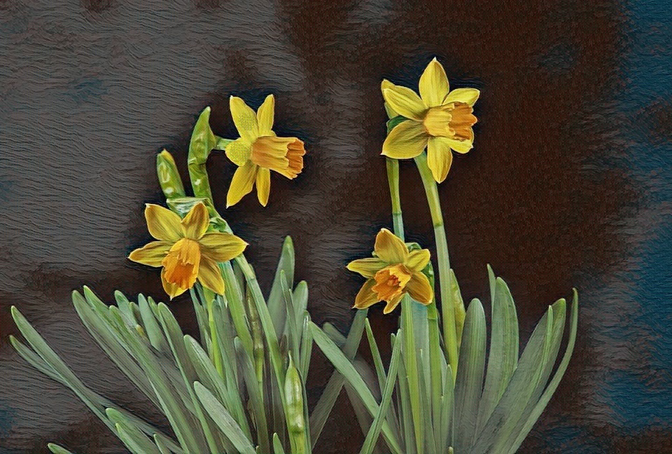 Hope is made, not given

The days I didn't get to love her were wasted. But then again, the days that I -did- get to love her were wasted too. My heart is suspended between two fires that never seem to diminish in their desire to slowly burn their way through every painful memory and every happy thought I have of her. I stopped fighting them. I now let them do their worst. A Phoenix is to arise from all of this, I'm sure. So, I will lean into this pain. I will embrace it. Hope is made, not given.