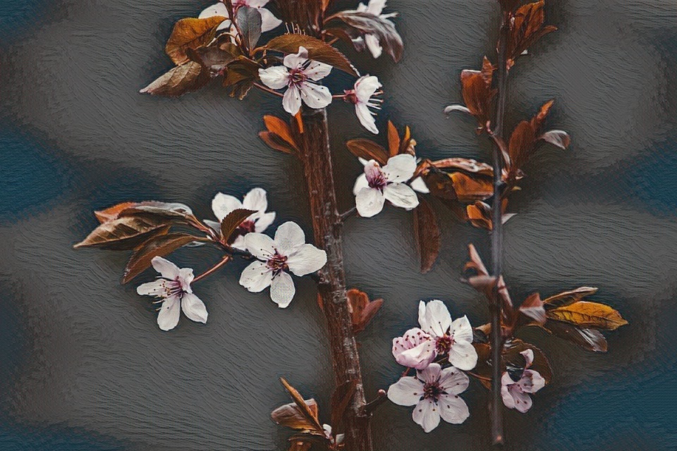 Falling out of love with her

He hid his pain in the shadow of his heart. Invisible to the outside world, he could feel its relentless blackhole-like gravitational pull. But, his pain eventually became smaller. Almost not noticeable at first, but decidedly smaller. His suffering eroded his pain, turning it slowly into something with fewer sharp edges. He could feel how he was falling out of love with her. And this time, for the grace of God, his heart did not object.