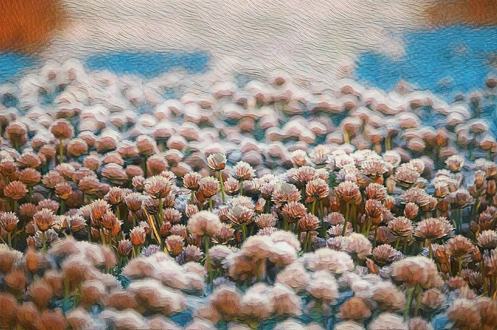 A small house

There is a small house in my heart with an even smaller door. We built that house together. You and me. A long time ago. But that house was abandoned by us. First, it was you that left that house. And then, a few years later, I followed suit. But before I left, I welded the little door to that house to its frame. Because I knew, one day the old me would want to visit. And that can never happen. Such a useless thing should never happen.