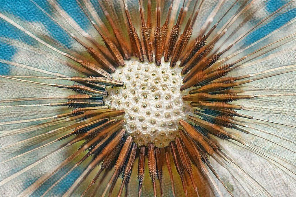 Air like fire

A broken heart you do not feel in your heart,
A broken heart you feel in your lungs.
You draw air, and the air feels like fire.
You inhale deeply, but you never seem to get enough oxygen
into your lungs.
You sit up straight, desperately trying to control your breathing,
But however much you pretend that this will fix the issue,
You cannot breathe.
You cannot exist in this world.
You cannot exist without her.