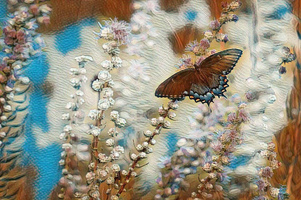 Moving past a discarded love

The memory banks that hold whatever precious memories I have of her, I have quarantined. These memories are too sacred to destroy but also too hurtful to keep lying around. I won't forget the love I felt for her. That love is - for better and for worse - the foundation for the person I am today. I achieved what I set out to do years ago: To move past the life we had built together and then discarded. Let these words I wrote from now on do the heavy lifting of caring for what once was. I no longer do.