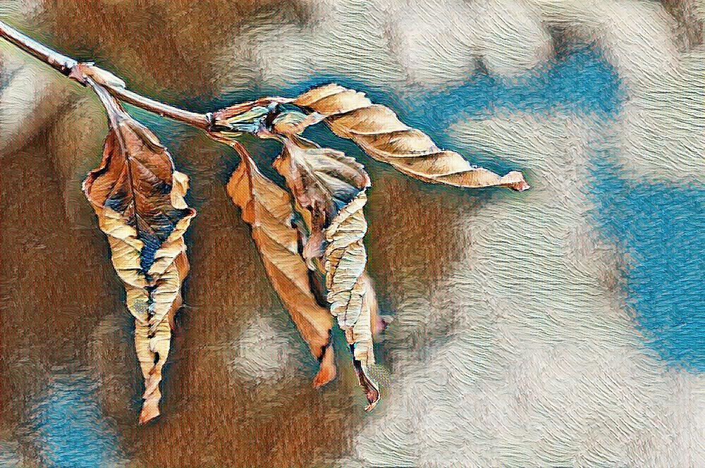 Lovers that bring war

I am jealous of people who can lean unapologetically on their strengths. People who do not clip their own wings to make others around them feel more comfortable with their weaknesses. People who do not fight with two hands tied behind their backs. Those who fight for peace while their lovers bring them war. I wanted to be unabashedly myself. I wanted to say 'no' with confidence. And now that I am that person, more than anything, I feel anger. Anger at those who mistreated my old self. I want to take revenge, but as they say: 'The best revenge is living a good life.'