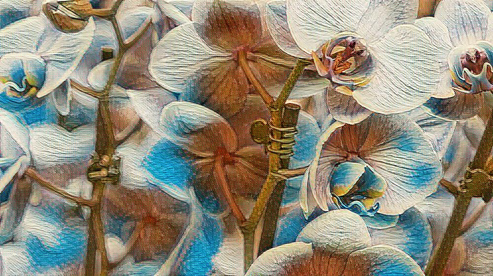 To stop loving you

If things you believed in became untrue, does it mean they never were true? Or are true things capable of becoming their opposite? Does this mean that truth contains untruths? Wouldn't that mean it never was a truth to begin with?

Or maybe true things are illusions that can only exist if someone believes they are true. If no one believes, then their nature changes. Is this what happened to your love? Did you stop believing in the illusion?

Can I stop believing too? Can I stop loving you?