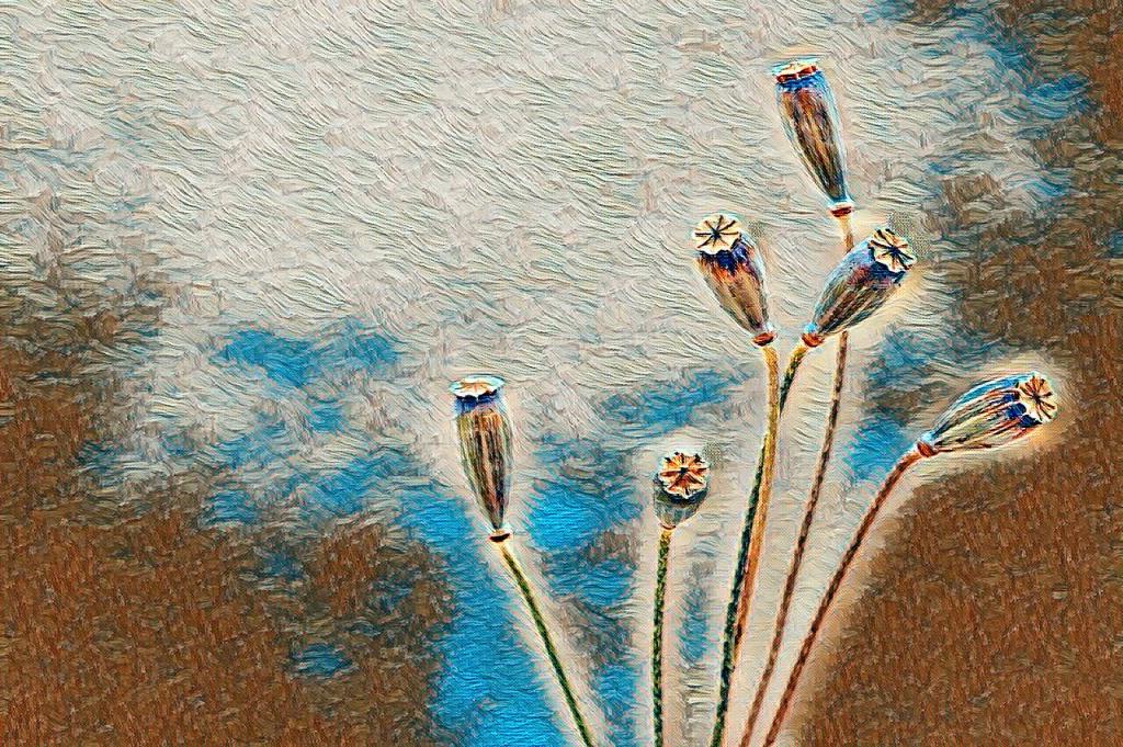 This orphaned love

I have been a witness to this love alone for far too long  
There is no one in this world that wants it  
I tell it that me leaving it will not hurt  
But it is afraid  
I feel its vertigo but I lie that everything will be alright  
For truly, I do not know that it will  
But I am going to be selfish and think only about myself  
Just as she did when she left this love  
We will have abandoned this love together  
This orphaned love  
This foolishly naive love  
That still hopes beyond reason  
That still thinks a better tomorrow will come