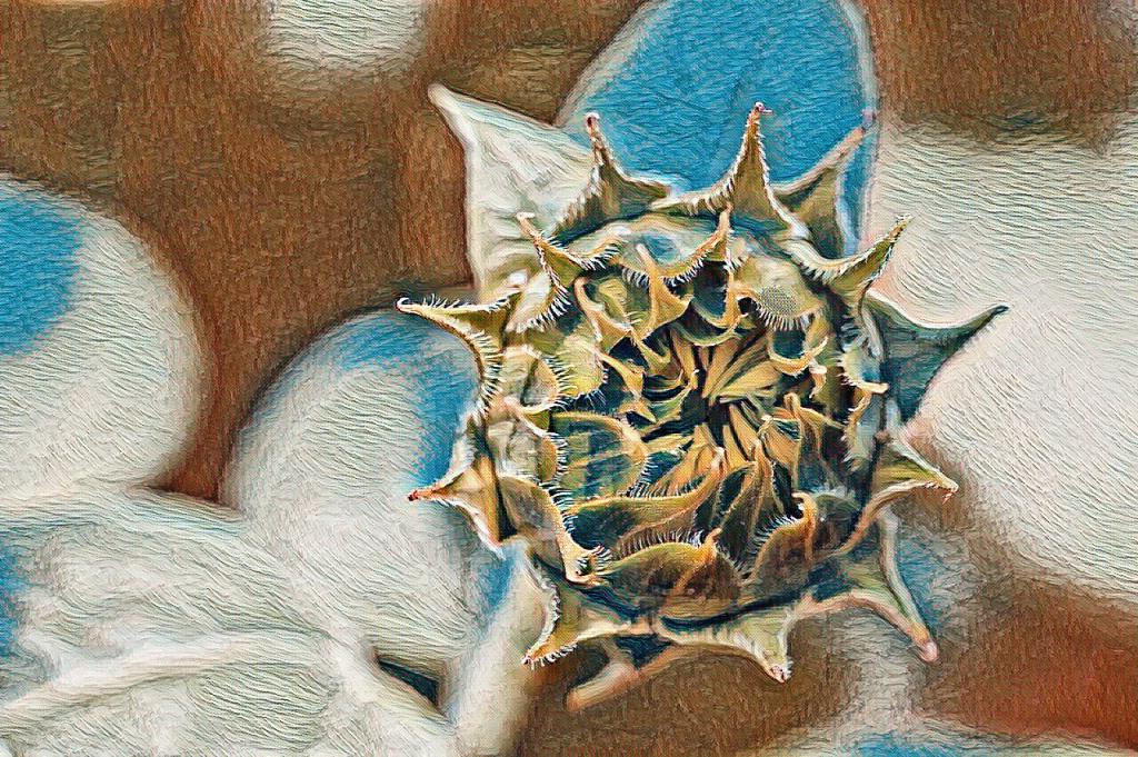 The love you make work

I love how
people in love
talk about love
as if there is no love
but true love

But I have seen
otherwise

I have seen
the yelling
the screaming
the shaming
and the humiliation
that goes with love

I have seen
the desperation
the drowning
and the realization
that there is no starry-eyed love
but the love you make work

So yes, there is no true love
but go love anyway