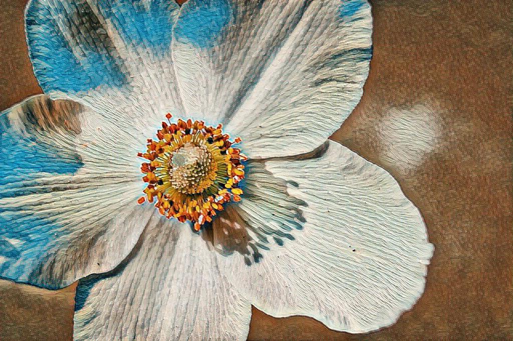 Forgive yourself

Can you live a happy life after such a monumental betrayal?
Can you smile when others smile,
or laugh and enjoy the frivolous things in life?
How long before guilt is but a faraway fly, 
buzzing its insignificance across swats of forced amnesia?
Will your heart coil up in a ball of shame 
when you are unexpectedly reminded of what you have done?
How you put that knife to my chest and pushed it slowly, gently into my heart.
Those who are wronged may, in time, forgive, 
but what if you do not forgive yourself?