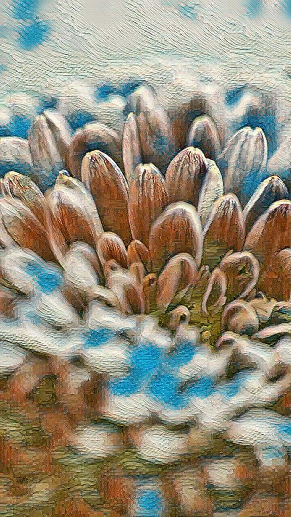 Sugar and spice

I was a mistake
You felt sympathy, but there was no desire nor lust

I was safe,
A warm blanket, a distraction, an escape
Still, I could never bring you peace

I was never what you wanted,
But to be fair to me, you did not know what you wanted yourself

And then again,
Girls want sugar and spice and everything nice

Admittedly there were some things that were nice
but I never could bring you any of that sugar and that spice