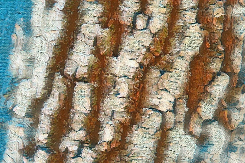 The heart wants what the heart wants

There were perfect days, too, a lot of them. In fact, there were periods when it seemed that we already had all that we needed from life. That we also had each other, our love, seemed almost like cheating. But that was the happiness of immature minds, of large fish in little ponds. We had no idea how relentlessly tough life would become. How long our love would stretch out until failure became the only possible release from our suffering. We stood back to back in those final days, but still, I thought we could have made it. Now I know that the only fault in you leaving me was that you did not do it earlier. Was that love? Whatever it was, it was foolishness. We had no business being together. Loving each other was never enough of an excuse. But like they say, the heart wants what the heart wants.