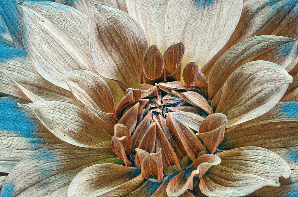 Before death comes

That very first poem I wrote about how beautiful she looked in the light coming from outside my bedroom window was something I needed to be true, though my heart wasn’t ready to believe it. But I kept stacking words, hoping one day I would. Like the poem stated: it could have been someone else, and I would have felt the same. I don't think she would have missed much too if we had never met. These words may seem fatalistic, but sometimes truth needs no embellishment. The love was real, but either of us could have been replaced, and nothing significant would have changed. Heartache teaches us one thing: to understand and accept death before it comes.