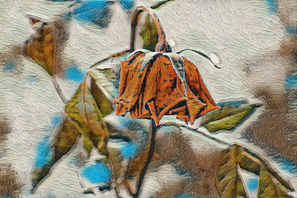 Cycle of love

And then they fall in love?
Yes, they fall in love.
In love,
they fall,
and fall—
out of
that which they once
called
love.